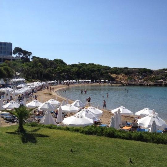 Queen Aphrodite Hotel Karpasa Bagian luar foto